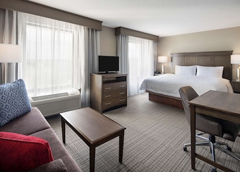 Studio Suite, 1 King Bed with Sofa bed