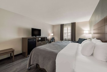 Standard Room, 1 King Bed, Non Smoking