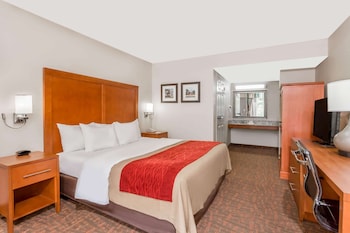 Room, 1 King Bed, Accessible