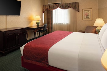 Room, 1 King Bed