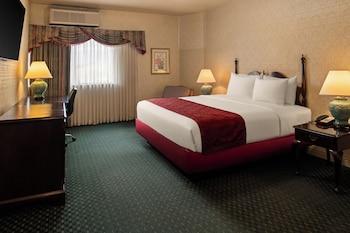Room, 1 King Bed