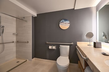Traditional Room, 1 King Bed with Sofa bed (Mobility/Hearing Access, Roll-In Shwr)