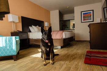 Pet Friendly Cottage King