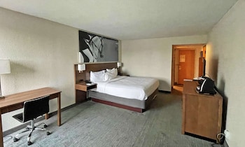 Room, 1 Twin Bed, Non Smoking