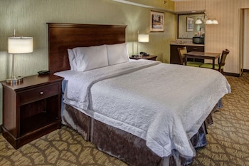 Room, 1 King Bed, Smoking (Oversized)