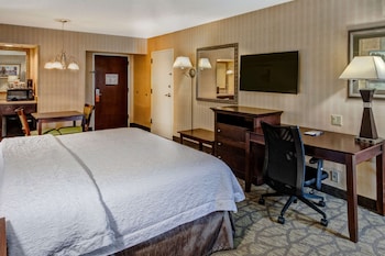 Room, 1 King Bed, Smoking (Oversized)