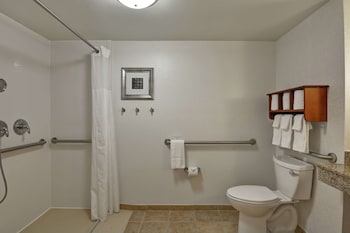 Room, 1 Queen Bed, Accessible, Bathtub