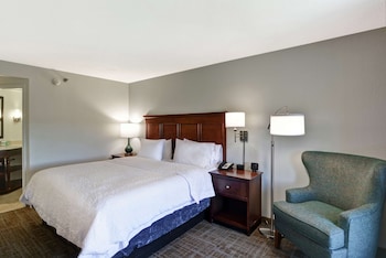 Room, 1 King Bed, Non Smoking