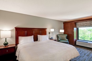 Room, 1 King Bed, Non Smoking