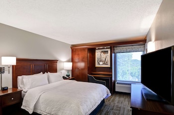 Room, 1 Queen Bed, Accessible, Bathtub