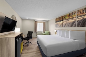 Room, 1 King Bed, Non Smoking
