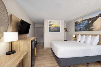 Room, 1 King Bed, Non Smoking