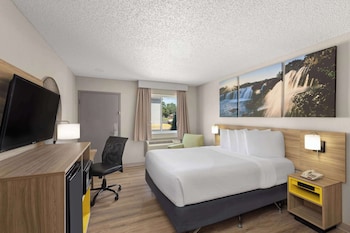 Room, 1 King Bed, Non Smoking