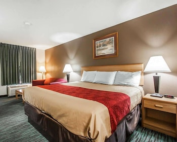 Room, 1 King Bed, Accessible, Non Smoking