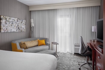 Room, 1 King Bed with Sofa bed (Mobility Accessible, Roll-In Shower)