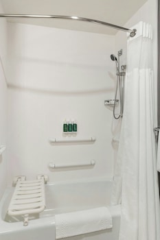 Room, 1 King Bed with Sofa bed (Mobility Accessible, Roll-In Shower)
