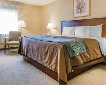 Room, 1 King Bed, Accessible, Non Smoking