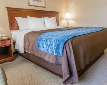 Room, 1 King Bed, Accessible, Non Smoking