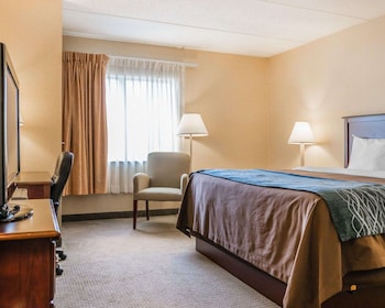 Room, 1 King Bed, Accessible, Non Smoking