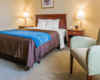 Room, 1 Queen Bed, Accessible, Non Smoking