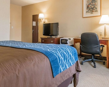 Room, 1 King Bed, Accessible, Non Smoking