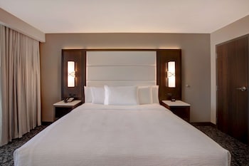 Suite, 1 King Bed, Accessible (Roll-In Shower)