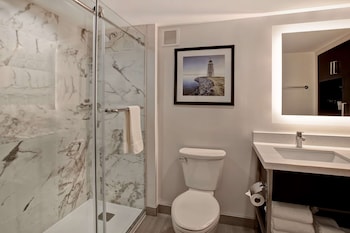 Suite, 1 King Bed