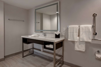 Suite, 1 King Bed, Accessible (Roll-In Shower)