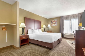 Room, 1 King Bed, Accessible, Non Smoking