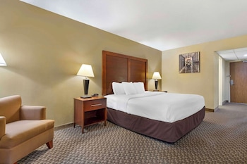 Standard Room, 1 King Bed, Non Smoking (No Pets)