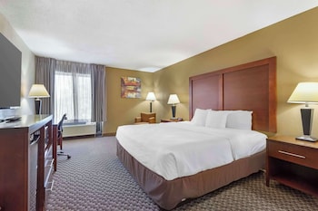 Standard Room, 1 King Bed, Non Smoking (No Pets)