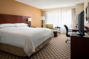 Room, 1 King Bed (Mobility/Hearing Access, Roll-in Shwr)