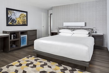 Room, 1 King Bed, Accessible