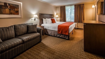 Standard Room, 1 King Bed, Non Smoking (with Sofabed)