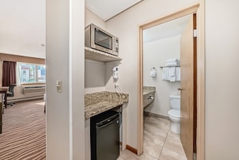 Room, 1 King Bed, Refrigerator & Microwave