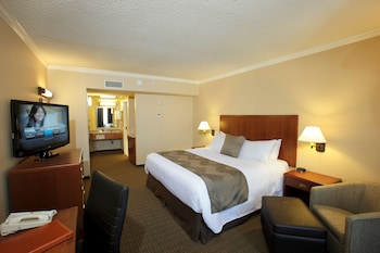 Standard Room, 1 Queen Bed, Non Smoking, Patio (Small Room)