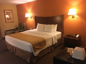 Room, 1 King Bed, Refrigerator