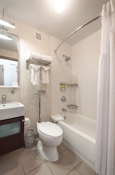 Suite, 1 King Bed with Sofa bed