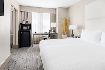 Suite, 1 King Bed with Sofa bed