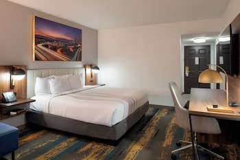 Room, 1 King Bed, Non Smoking
