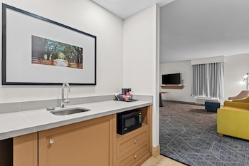 One Large King Studio Suite