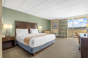 Standard Room, 1 King Bed with Sofa bed