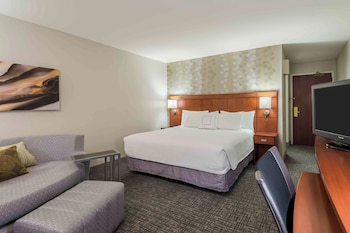 Room, 1 King Bed (Hearing Accessible)