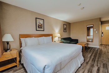 Standard Room, 1 King Bed, Non Smoking, Refrigerator & Microwave