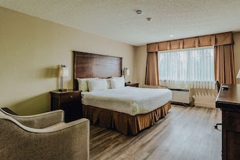 Standard Room, 1 King Bed, Accessible, Refrigerator & Microwave