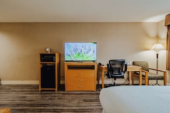 Standard Room, 1 King Bed, Non Smoking, Refrigerator & Microwave