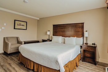 Standard Room, 1 King Bed, Accessible, Refrigerator & Microwave