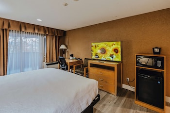 Suite, 1 King Bed, Non Smoking, Balcony