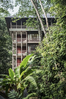 Canopy Deluxe