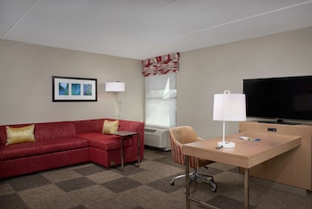 Studio, Refrigerator & Microwave (Wet bar)